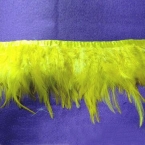 Feather Trims